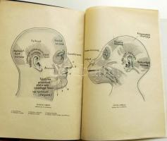 A műveltség könyvtára - Az ember II. Bp., 1905 Athenaeum, díszes félvászon kötésben, aranyozott mint...