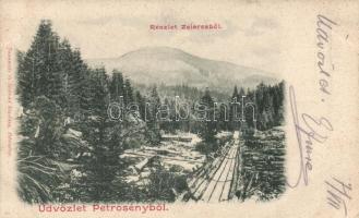 Petrozsény wood transportation