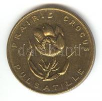 Kanada 1970. "Manitoba tartomány 1870" M emlékérem (32mm) T:2
Canada 1970. "Manitoba ...