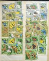 96 db Magyar gyufacímke "Lepkék" sorozat 6 féle színben
