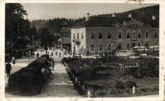 Borszék, Melik szálló, park / hotel, park (fl)