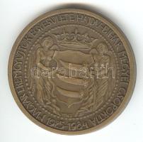 Tóth Sándor: 1984. "MÉE Hajdú-Bihar Megyei Csoportja/Báthory István" Br emlékérem (42mm) T:1