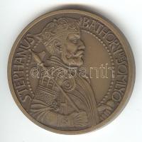 Tóth Sándor: 1984. "MÉE Hajdú-Bihar Megyei Csoportja/Báthory István" Br emlékérem (42mm) T...