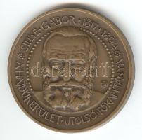 Tóth Sándor: 1984. "Sillye Gábor/A Hajdúkerület Utolsó Főkapitánya" Br emlékérem (42mm) T:1/1-