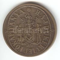 Tóth Sándor: 1984. "Sillye Gábor/A Hajdúkerület Utolsó Főkapitánya" Br emlékérem (42mm) T:...