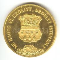 1989. "Erdély - Temesvár" aranyozott emlékérem (42mm) T:PP