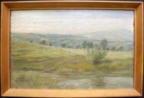 Henryk Uziemblo (1879-1949): Tájkép. olaj- vászon 40x37 cm