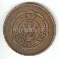 1992. "Százéves a Kanizsai Sörgyár RT." matt Br emlékérem (42,5mm) szign.: B.Gy. T:1