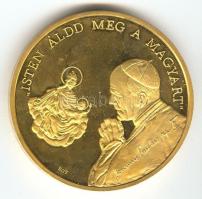 1991. "II.János Pál pápa látogatása - Pécs" aranyozott piefort emlékérem. Szign: BGY / Leb...