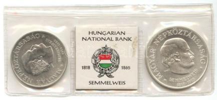 1968. 50Ft Ag + 100Ft Ag "Semmelweis" pár nejlon tokban T:BU