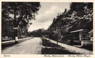 Sopron Horthy Miklós körút, Monostory