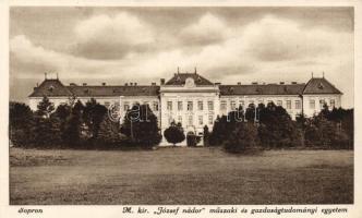 Sopron Magyar királyi József nádor műszaki és gazdaságtudományi egyetem, Monostory