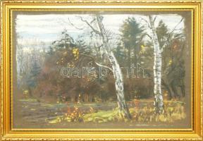 Rökk Károly (1891-1970): Erdő ősszel, pasztell-papír, jelzett, üvegezett keretben 40x54cm