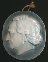 Schubert, kézzel festett ENS Volkstadt porcelán plakett /  ENS Volkstadt chinaware plaque 12 cm