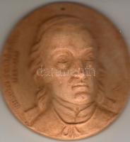 "Baróthi Szabó Dávid" modern kerámia plakett