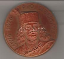 "II. Rákóczi Ferenc" modern kerámia plakett