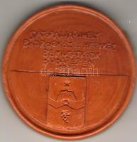 "Sátoraljaújhely-Bodrogköz" modern kerámia plakett