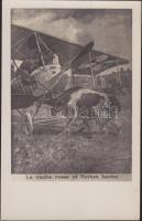 Anti-German military propaganda, Russian cow, German plane