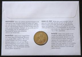 Hollandia 1995. Ecu "Ragadozó madarak" érmés borítékon alkalmi bélyegzős bélyegpárral, hát...