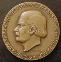 Reményi József (1887-1977) 1956. "Pest Megye Semmelweis (Rókus) Kórház Alapításának 175. évfordulójára" bronz emlékérem (60mm) dísztokban T:2