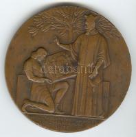 Berán Lajos (1882-1943) 1935. Pázmány Péter Tudományos Egyetem alapításának 300. évfordulójára Br em...