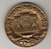 Litvánia "Klaipéda" modern nagyalakú bronzplakett