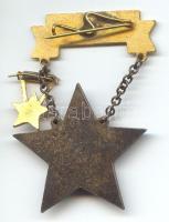 1950-es évek "Kiváló Dolgozó" kitüntetés Rákosi címerrel,miniatűrrel T:2+