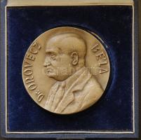 1973 "Dr. Orovecz Béla Országos Mentőszolgálat 25 éves jubileuma emlékére" Br piefort emlékplakett 68mm T:2 díszdobozban