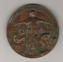 Olaszország 1938. "Triest" bronzplakett T:3