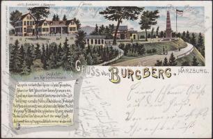 Harzburg litho (small tear)