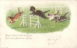 1899 Cats litho