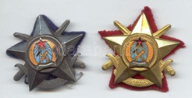 ~1950. "Haditorna jelvény" arany, ezüst fokozat T:2,2-(zománc sérült)