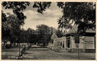 Harkány-Gyógyfürdő sétány