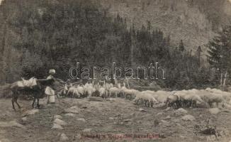 Retyezáti-havasok, shepherds, folklore