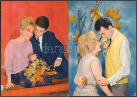 120 db színes, modern, megíratlan zsáner képeslap