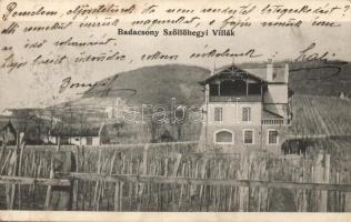 Badacsony szőlőhegyi villák