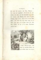 Paul und Virginie und die Indische Hütte. Verlag von Dennig, 1840. sok acél metszetettel illusztrált...