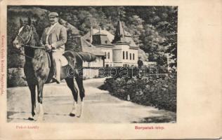 Borpatak-telep Pokol-kastély, lovas úr