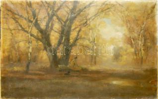 Kézdi Kovács László (1864-1942): Erdőrészlet. Olaj, vászon. Jelzett. (egy kis lyukkal) 100x75 cm