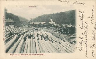 Bodoka sawmill