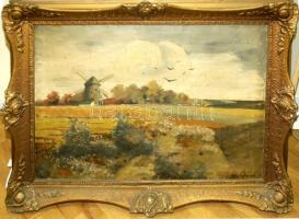 S.. Árpád  jelzéssel: Malom tájban, Olaj, vászon. Jelzett 70x50 cm Jó keretben.