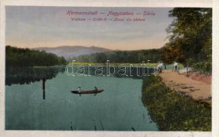 Nagyszeben Erdői lake