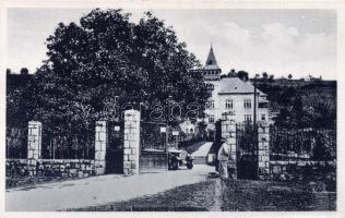 Beregszász castle, automobile