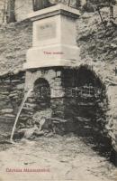 Máramaros Tisza fountain (EK)