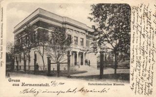 Nagyszeben Natural History Museum (EK)