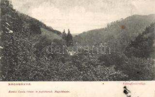 Nagybánya Fokhagymás valley