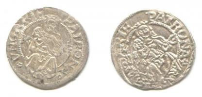 1516-1526. Denár Ag (2x) "II. Lajos" T:2-
(Unger: 673.m/w)