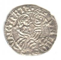 1490-1494. Denár Ag "II. Ulászló" T:2-/2
(Unger: 639.a)