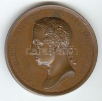 Ausztria 1841. "V. Ferdinánd szobrának felavatása" Br emlékérem (50mm) szign.: Scharff T:1...