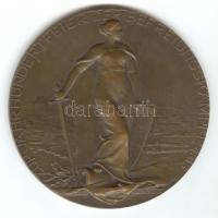 Ausztria 1913. "A Napóleoni csaták emlékére - Berg Isel - Aspern - Leipzig" Br emlékérem (...